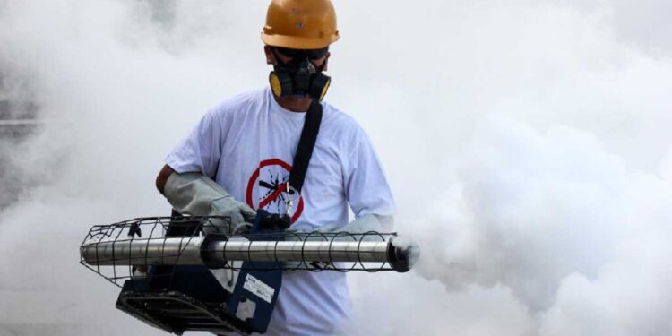 Dengue: 110 mil casos y 262 decesos en el país este año