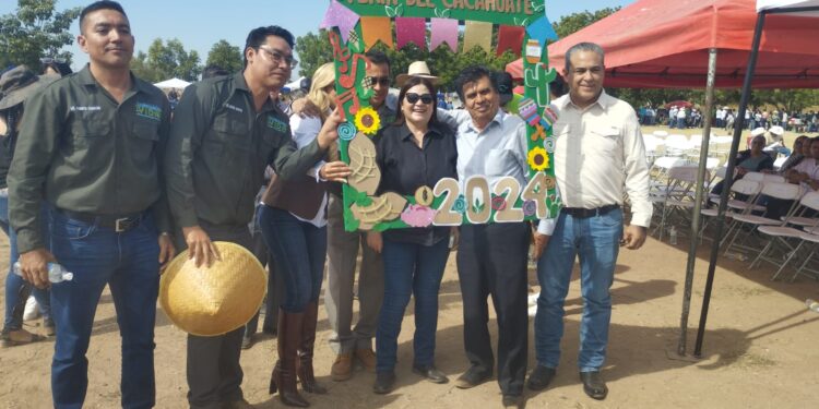 Mocorito se consolida como referente estatal en producción de cacahuate: duplican apoyos a productores