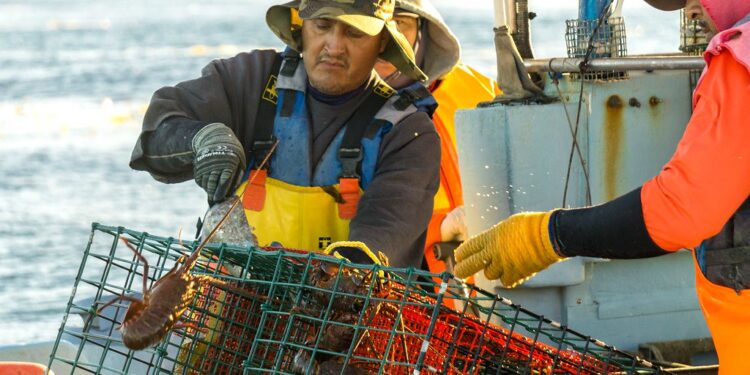Noviembre marca inicio de vedas y apertura de capturas de diversas especies marinas y dulceacuícolas