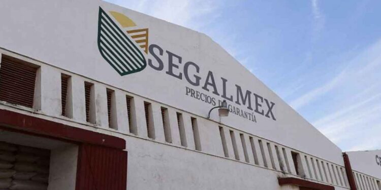 Segalmex denuncia a 91 productores por presunto mal uso de fertilizantes