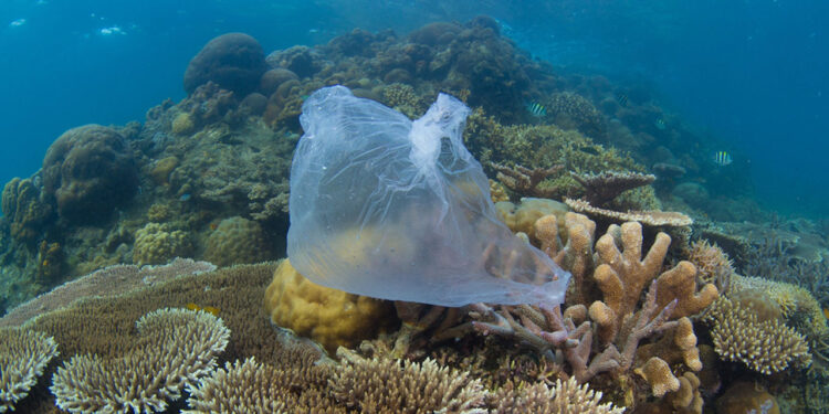 WWF presenta los 10 peores plásticos para el medioambiente en México