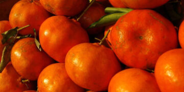 Mandarina, un sabroso aliado contras las infecciones, diabetes y hasta el cáncer