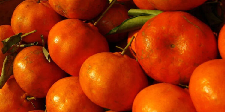 Mandarina, un sabroso aliado contras las infecciones, diabetes y hasta el cáncer