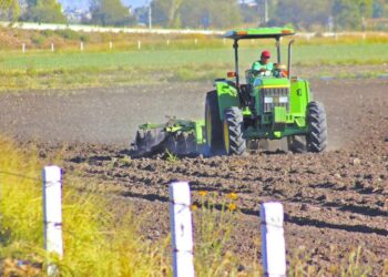 Necesario para el desarrollo de las comunidades rurales el impulso a la agroindustrua Mexicana: Canacintra