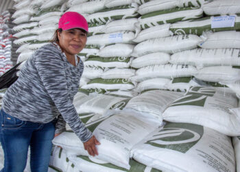 Fertilizantes para el Bienestar: Un Millón de Toneladas para 2.2 Millones de Productores en 2024