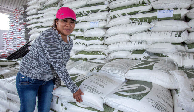 Fertilizantes para el Bienestar: Un Millón de Toneladas para 2.2 Millones de Productores en 2024