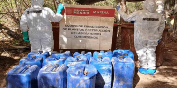 Semar ubica y destruye laboratorios clandestinos y plantas de marihuana en Sinaloa y Nayarit