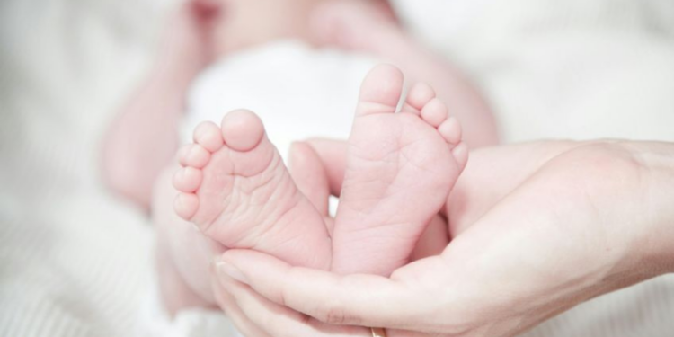 Bebé sin estómago lucha por su vida tras negligencia médica; padres piden apoyo para los gastos