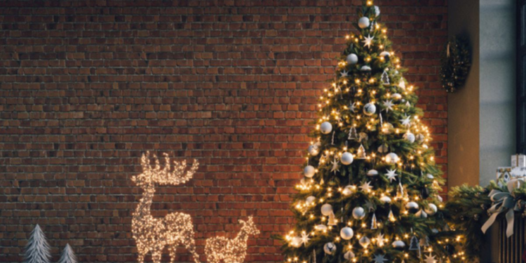 Árbol de Navidad: Cuáles son los elementos que no pueden olvidar