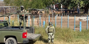 Identifican los cuerpos hallados con sombreros en la Concordia, Sinaloa: eran albañiles y cuidadores de cerdos