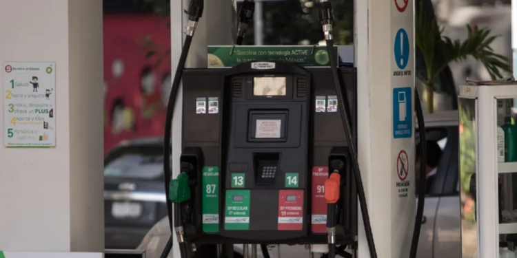 Profeco destaca que Bristoil y Pemex tienen los precios más bajos para la gasolina