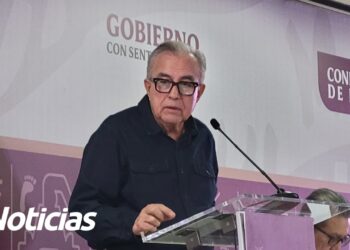 Sinaloa ha registrado 7 muertes por dengue en 2024: SSA