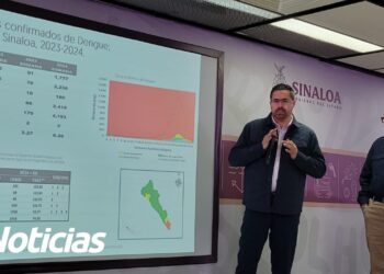 Sinaloa ha registrado 7 muertes por dengue en 2024: SSA