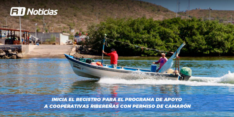 Inicia el Registro para el Programa de Apoyo a Cooperativas Ribereñas con Permiso de Camarón