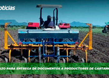 Amplían plazo para entrega de documentos a productores de cártamo en Sinaloa
