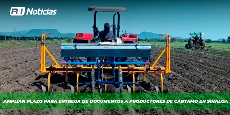 Amplían plazo para entrega de documentos a productores de cártamo en Sinaloa