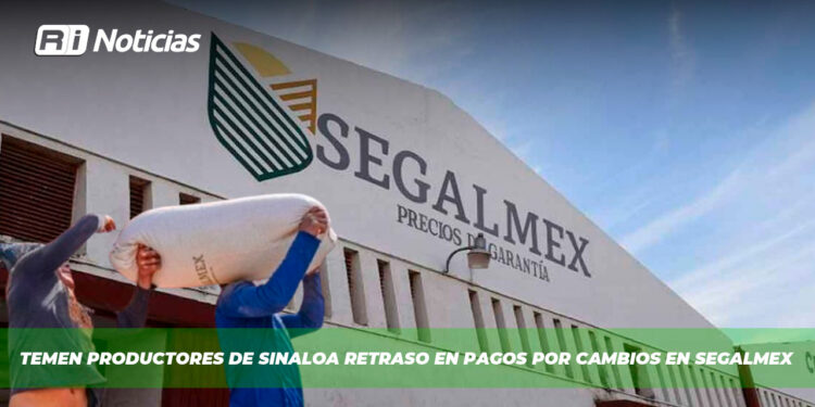 Temen productores de Sinaloa retraso en pagos por cambios en SEGALMEX