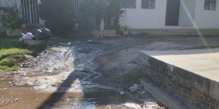 Vecinos de la Niños Héroes, en Mazatlán llevan más de 1 año reportando fuga de agua potable y “nadie hace nada”