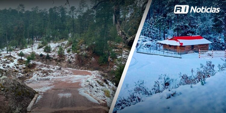 ¿En Sinaloa donde llega a nevar durante el invierno?; Estos son los lugares donde sucede