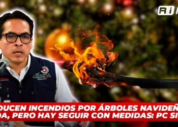 Se reducen incendios por árboles navideños en Sinaloa, pero hay que seguir con medidas: PC Sinaloa