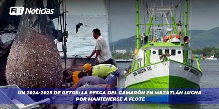 Un 2024-2025 de Retos: La pesca del camarón en Mazatlán lucha por mantenerse a flote