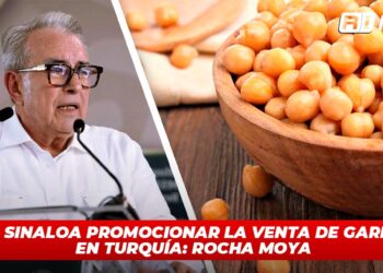 Busca Sinaloa promocionar la venta de garbanzo en Turquía: Rocha Moya