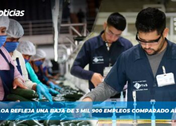 Sinaloa refleja una baja de 3 mil 900 empleos comparado al 2023
