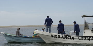 Conapesca decomisa más de Mil 500 Toneladas de Producto Pesquero en 2024