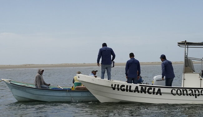 Conapesca decomisa más de Mil 500 Toneladas de Producto Pesquero en 2024