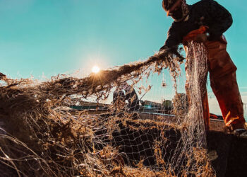 Conapesca detalla estrategias para pesca y acuacultura sostenibles en 2025