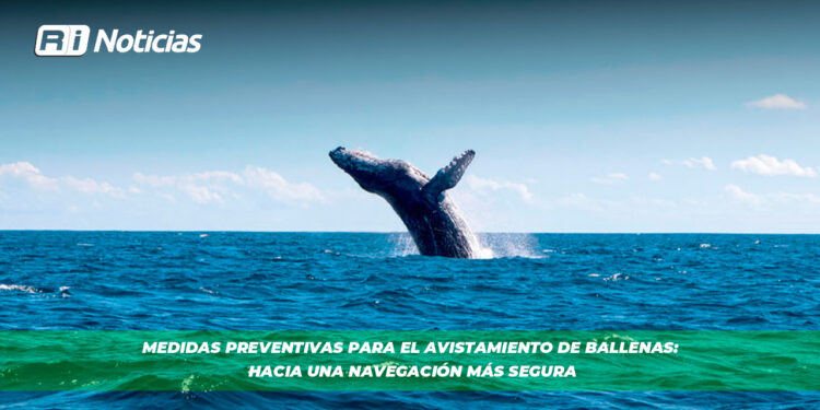 Medidas preventivas para el avistamiento de Ballenas: Hacia una navegación más segura