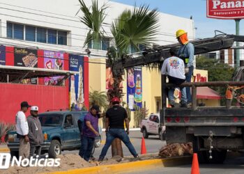 Servicios Públicos embellece camellón de la Av. Manuel J. Clouthier en Mazatlán