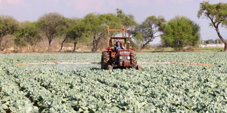 Enfrenta sector agropecuario panorama crítico en 2025