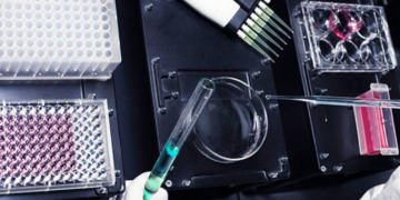 Sheinbaum niega que en México ocurra “todo el proceso” de producción de fentanilo