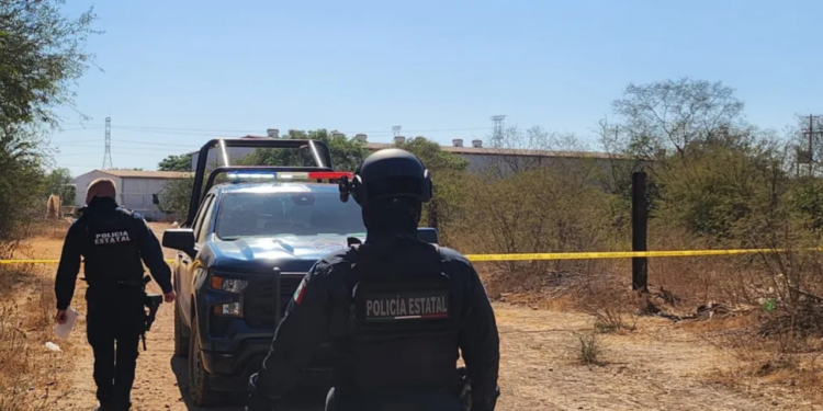 Localizan cuatro personas sin vida en distintos puntos de Culiacán este domingo: FGE