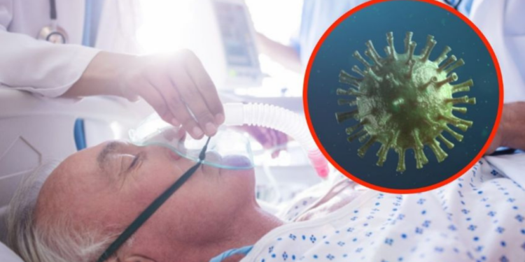 OMS investiga brote de virus mortal que hace sangrar los ojos: ¿Cuáles son los síntomas?