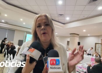 “El plan de apoyo no es para reactivación económica, sino para el desarrollo público”: Martha Reyes
