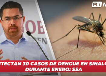 Detectan 30 casos de dengue en Sinaloa durante enero: SSA