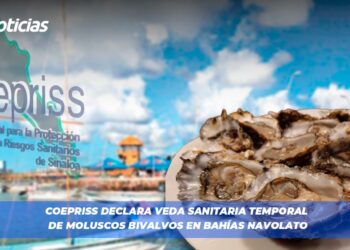 COEPRISS declara veda sanitaria temporal de moluscos bivalvos en bahías Navolato