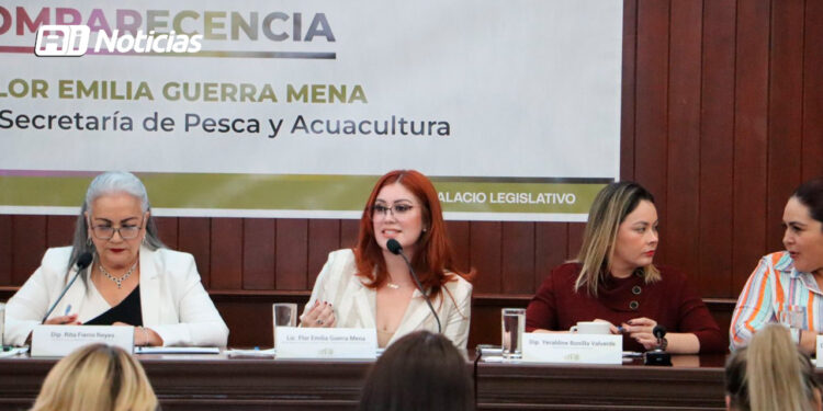 Sinaloa sigue trabajando por la sostenibilidad del sector pesquero, asegura Guerra Mena ante el Congreso