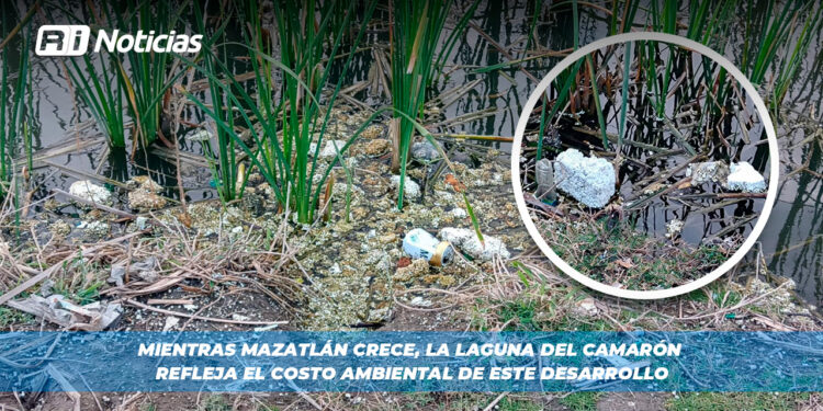 Mientras Mazatlán crece, la Laguna del Camarón refleja el costo ambiental de este desarrollo
