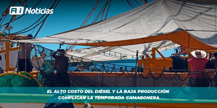 El alto costo del diésel y la baja producción complican la temporada camaronera