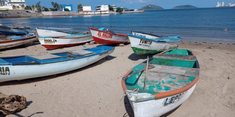 No hay recurso municipal para el sector pesquero en Mazatlán