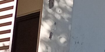 Gatilleros atacan a balazos una vivienda de la colonia Lázaro Cárdenas en Culiacán