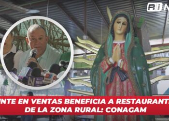 Repunte en ventas beneficia a restauranteros de la zona rural: CONAGAM