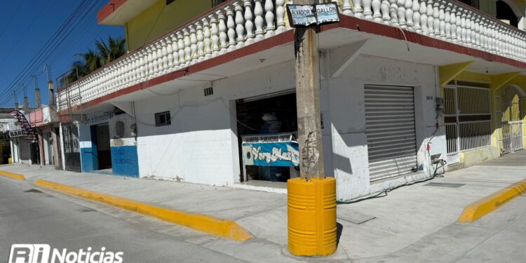 Comercios de la Av. Insurgente “vuelven a la vida”; tras reapertura locatarios esperan año positivo