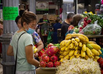 Precios de la canasta básica cierran enero con alzas en productos esenciales
