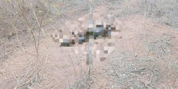 Rastreadoras localizan cuerpo en una brecha por la avenida Peche Rice