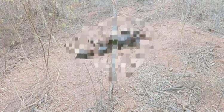 Rastreadoras localizan cuerpo en una brecha por la avenida Peche Rice