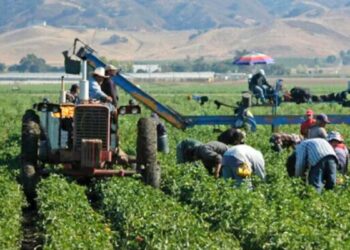 La Agricultura Estadounidense en Crisis: ¿Qué Significa la Llegada de Donald Trump?